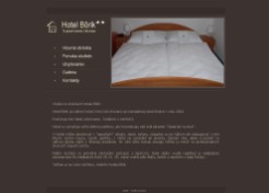 Web stránka Hotela Bôrik
