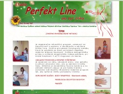 Web stránka spoločnosti Perfekt - line